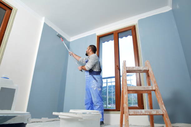 Best Water Damage & Mold Remediation  in Oakland, MD