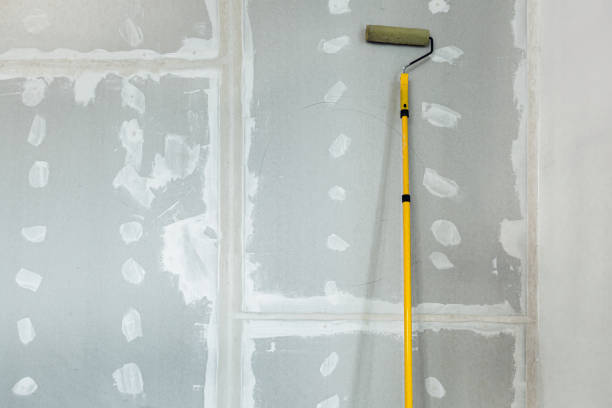 Best Mold Damage Restoration  in Oakland, MD