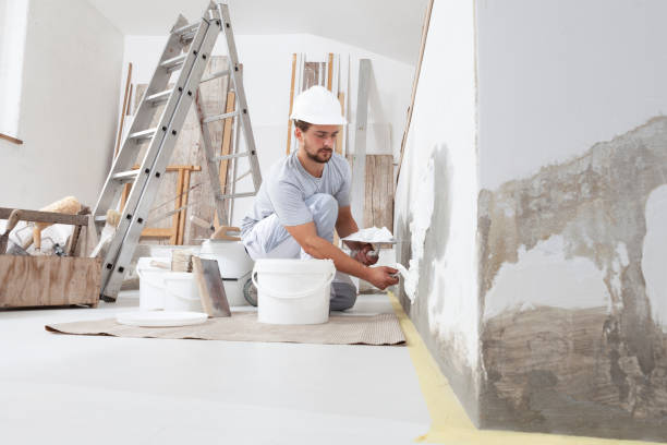 Best Black Mold Removal  in Oakland, MD