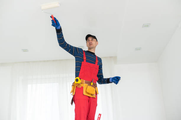 Professional Mold Removal in Oakland, MD