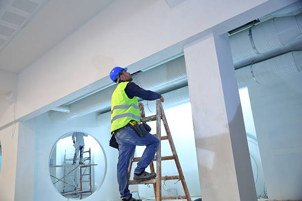 Best Air Quality Testing for Mold Spores  in Oakland, MD