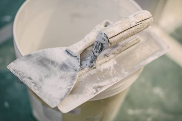 Best Industrial Mold Remediation  in Oakland, MD