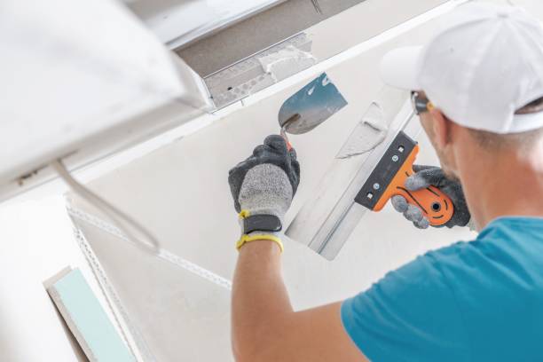 Best Basement Mold Removal  in Oakland, MD